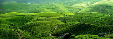 Kerala Hill Station Travel Package