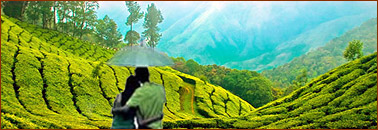 Kerala Honeymoon Tour Packages