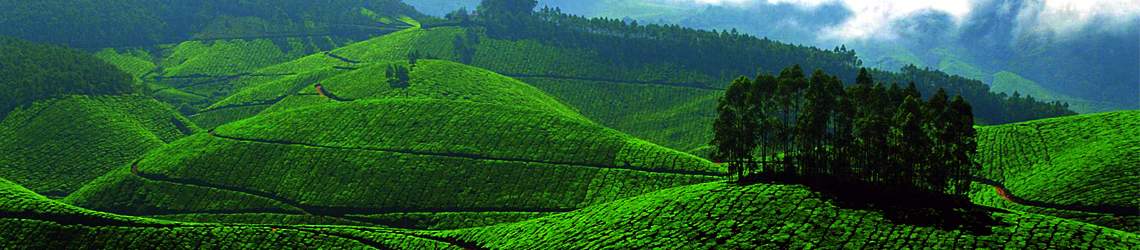 Munnar